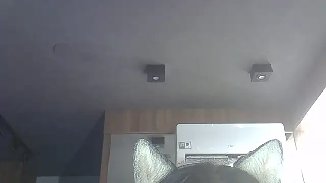 Snapshot of Skinny-Kitten chatting on 12-03-25, 11:14 Skinny-Kitten online show from 12-03-25, 11:14