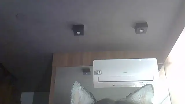 Snapshot of Skinny-Kitten chatting on 12-14-25, 02:50 Skinny-Kitten online show from 12-14-25, 02:50