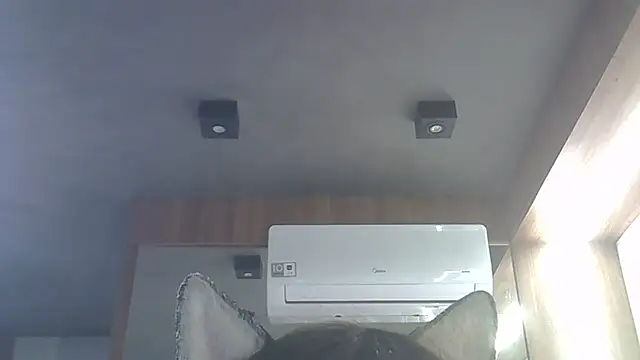 Skinny-Kitten online show from 01-16-26, 04:05