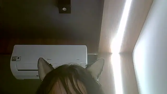 Skinny-Kitten online show from 02-13-26, 01:34