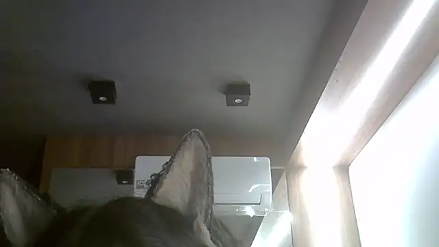 Skinny-Kitten online show from 02-15-26, 02:19