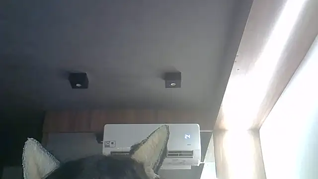 Skinny-Kitten online show from 04-01-26, 08:04