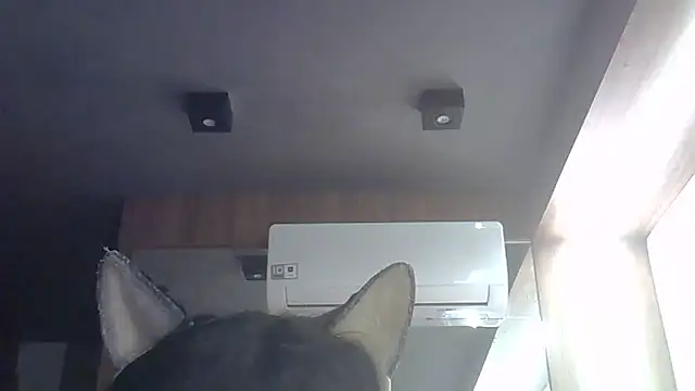 Skinny-Kitten online show from 05-28-26, 04:59