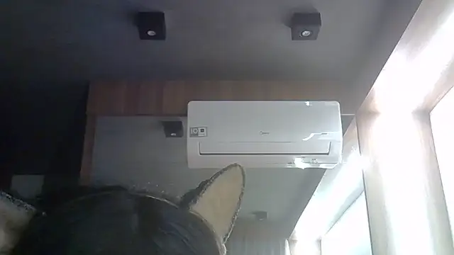 Snapshot of Skinny-Kitten chatting on 06-12-26, 11:35 Skinny-Kitten online show from 06-12-26, 11:35