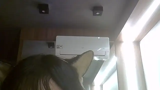 Snapshot of Skinny-Kitten chatting on 06-24-26, 01:37 Skinny-Kitten online show from 06-24-26, 01:37