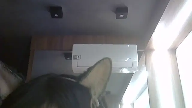 Snapshot of Skinny-Kitten chatting on 06-27-26, 05:23 Skinny-Kitten online show from 06-27-26, 05:23