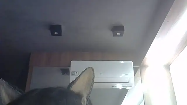 Snapshot of Skinny-Kitten chatting on 06-28-26, 01:33 Skinny-Kitten online show from 06-28-26, 01:33