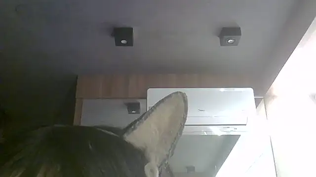Snapshot of Skinny-Kitten chatting on 07-11-26, 11:35 Skinny-Kitten online show from 07-11-26, 11:35