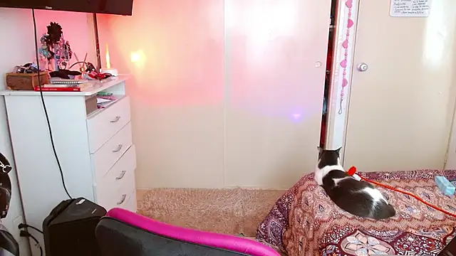 alisseallie online show from 03-21-26, 02:31