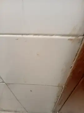 ManBlackhot online show from 04-04-26, 02:25