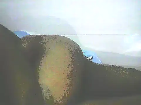 Snapshot of Stormward chatting on 01-12-25, 12:28 Stormward online show from 01-12-25, 12:28