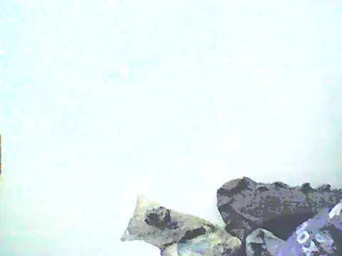 Snapshot of Stormward chatting on 01-12-25, 08:46 Stormward online show from 01-12-25, 08:46