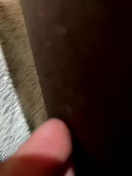 la chiennete online show from 11-18-25, 09:30