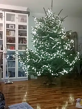 SexyDreamercouple89 online show from 12-07-24, 06:48