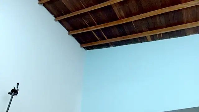 sophia hadid online show from 01-18-25, 07:58