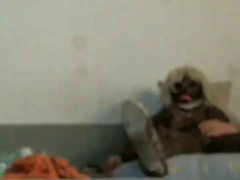 qwer1234 online show from 03-05-26, 05:47