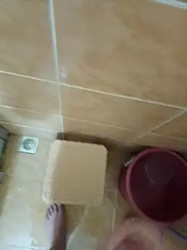 Sexis26 online show from 03-15-25, 03:16