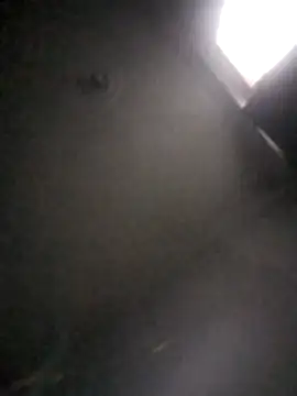 Snapshot of kevin613603 chatting on 02-01-26, 10:47 kevin613603 online show from 02-01-26, 10:47