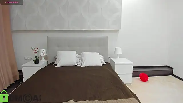 Donna Evans online show from 02-17-26, 11:55