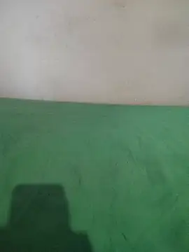 Snapshot of _Scorpion_ chatting on 02-11-25, 07:38  Scorpion  online show from 02-11-25, 07:38