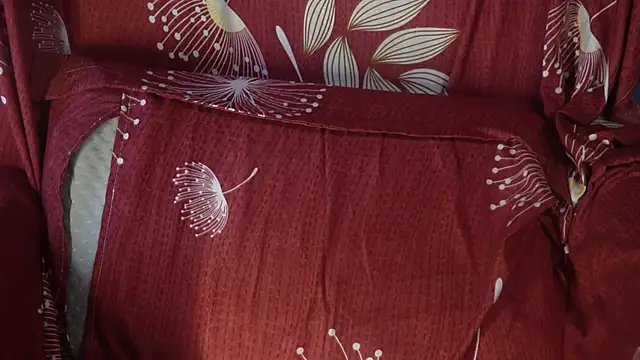 -AyeshaSinghania- online show from 10-16-25, 08:48