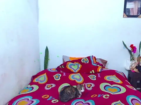 The wickles 4443 online show from 02-14-25, 04:09