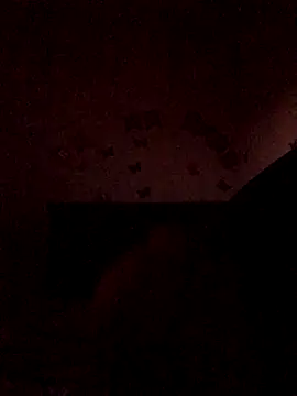 The wickles 4443 online show from 11-22-25, 11:04