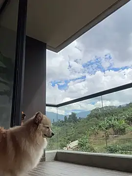 Helenbronwx online show from 01-06-25, 06:52