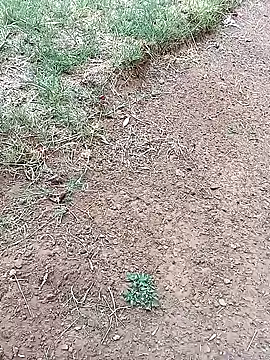 Snapshot of Vuyokaki chatting on 02-03-26, 03:06 Vuyokaki online show from 02-03-26, 03:06