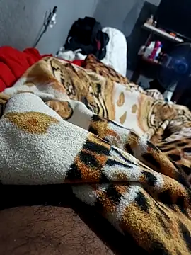 Snapshot of Mailsonp chatting on 02-26-26, 03:33 Mailsonp online show from 02-26-26, 03:33