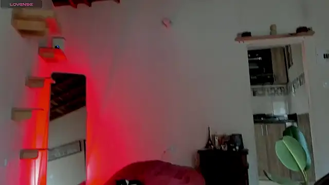 Rainbow leia online show from 03-08-26, 08:01