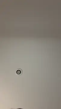 Snapshot of MichelleFerry_ chatting on 12-21-25, 06:31 MichelleFerry online show from 12-21-25, 06:31