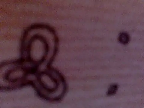 Snapshot of soniasharma0223 chatting on 02-17-25, 05:47 soniasharma0223 online show from 02-17-25, 05:47