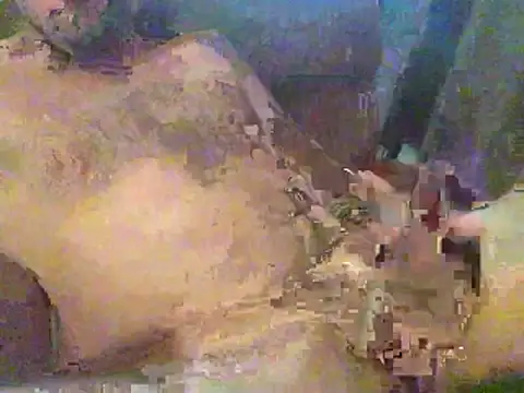 Snapshot of timmy88809 chatting on 02-18-26, 04:47 timmy88809 online show from 02-18-26, 04:47