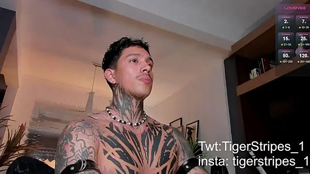 TigerStripes1  online show from 02-22-25, 01:11