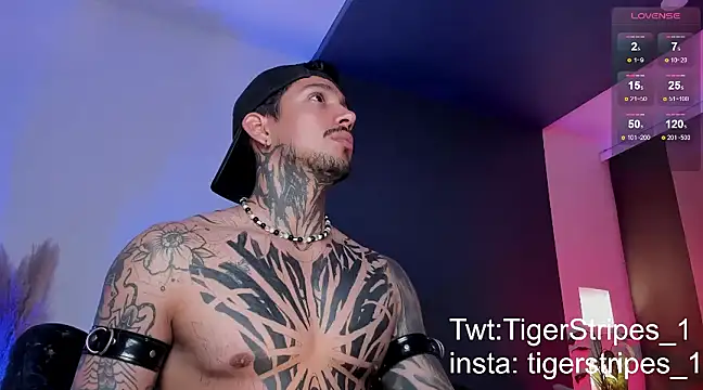 TigerStripes1  online show from 03-16-25, 12:56