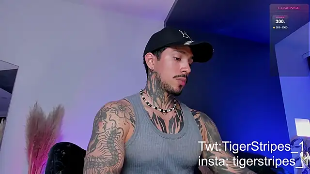 TigerStripes1  online show from 03-19-25, 12:59