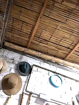 kvr27 online show from 11-03-25, 11:00